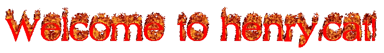 henrydotcat logo